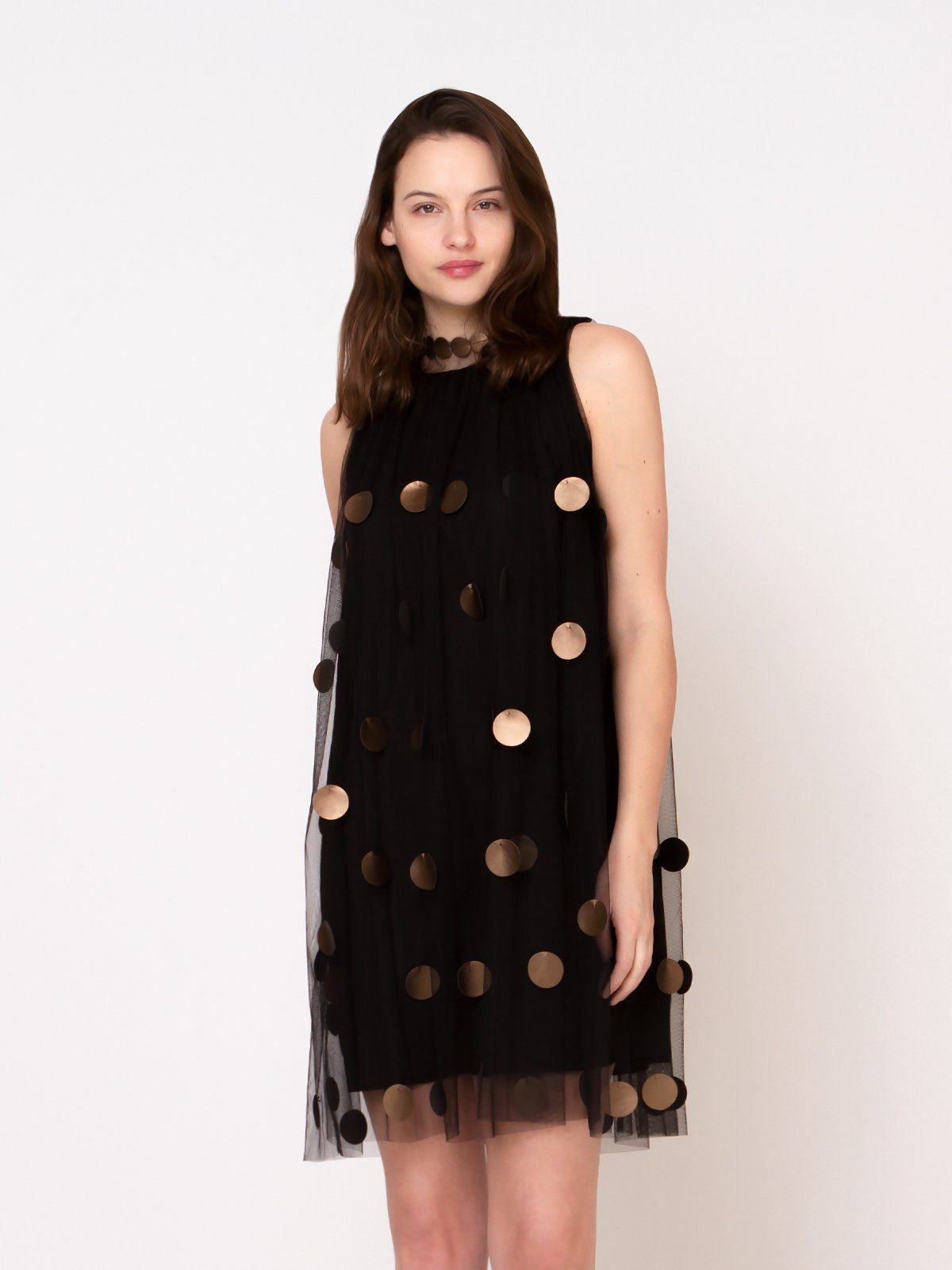 Polka Dot Sheer Dress